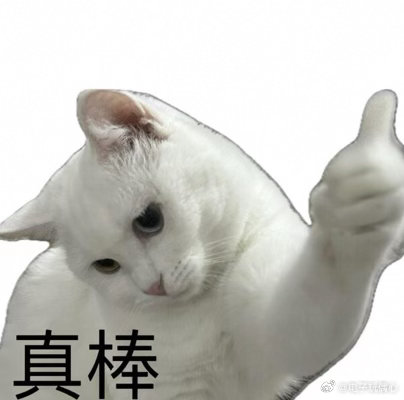 今天全场最靓的仔，就是我。不是因为长得帅，是因为我穿了淘宝闪购骑手服！淘宝闪购全