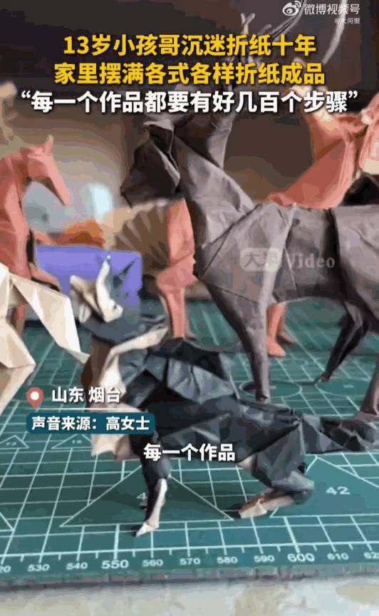 山东烟台这位13岁男孩随手折的小蚂蚁才五厘米，细节逼真到橘猫一眼误认，猛地往后弹