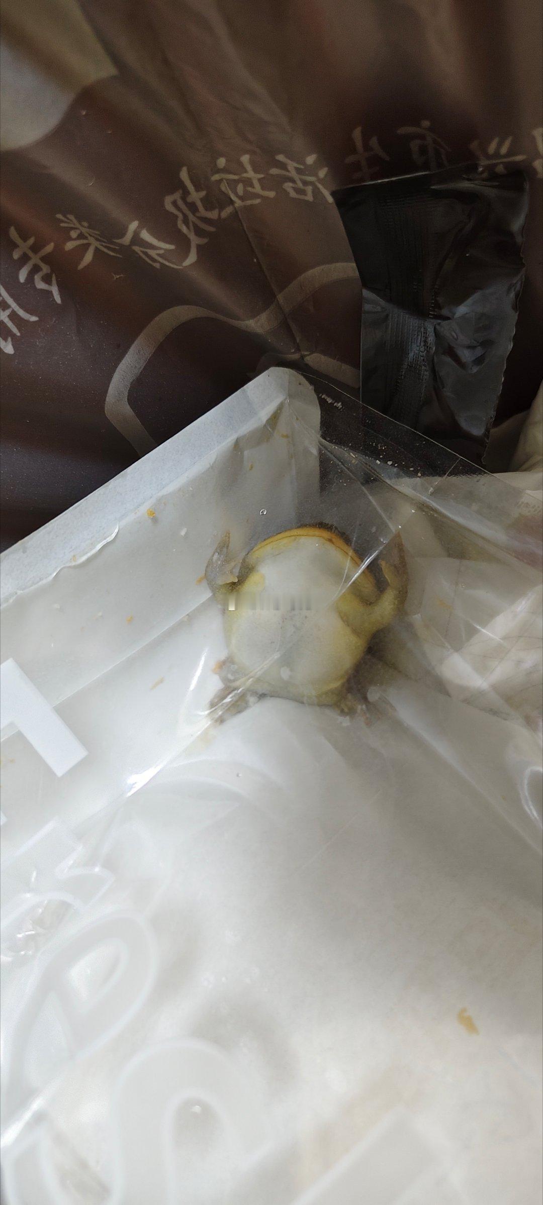 蔡康永今天突然发现养的一条小丑蛙噶了，那就弄个塑料袋扔垃圾桶🗑️🗑️🗑️?
