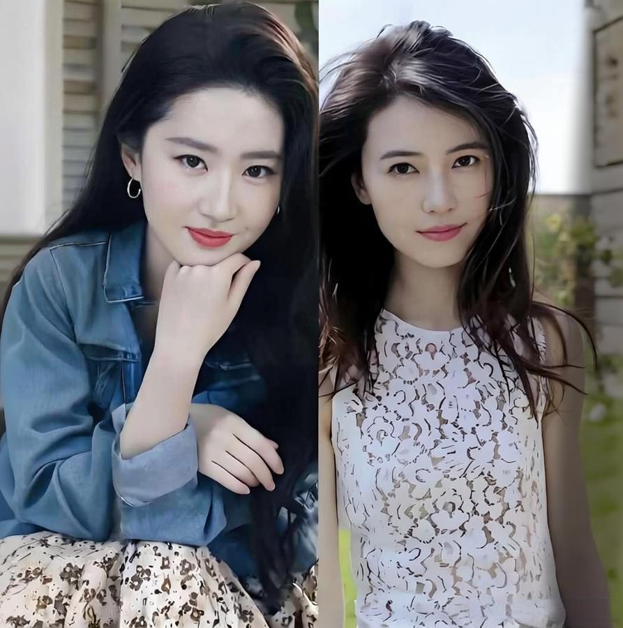 内娱两大公认女神，刘亦菲和高圆圆，到底谁才是颜值天花板？
一个是清冷仙气、自带古