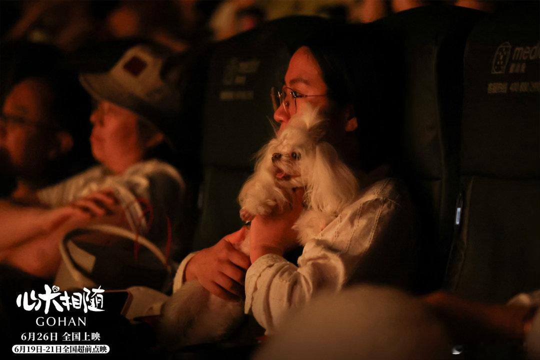 心犬相随都说好看的含金量 电影《心犬相随》首映礼收官！《天才枪手》导演全新治愈力