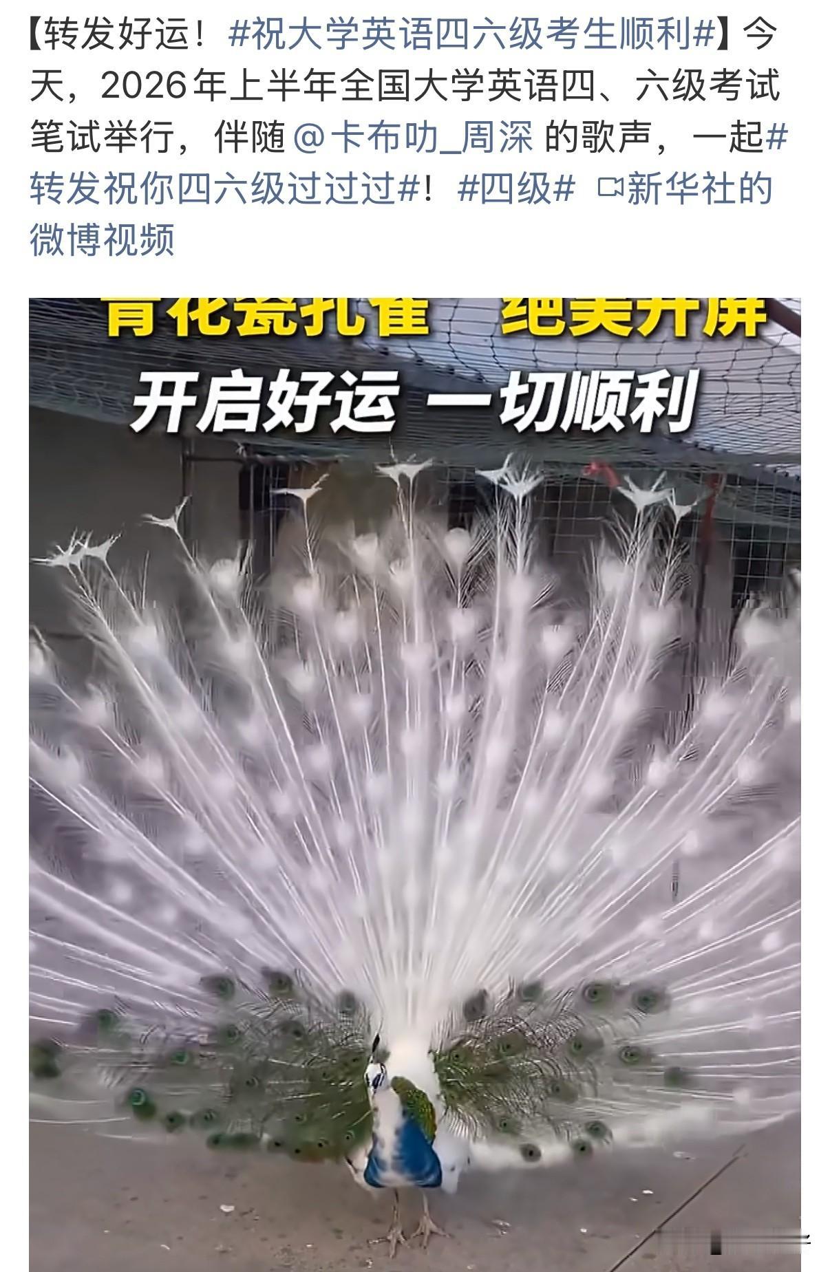 2026年6月四六级开考！百万考生奔赴考场，考前冲刺、考场百态全网刷屏

202