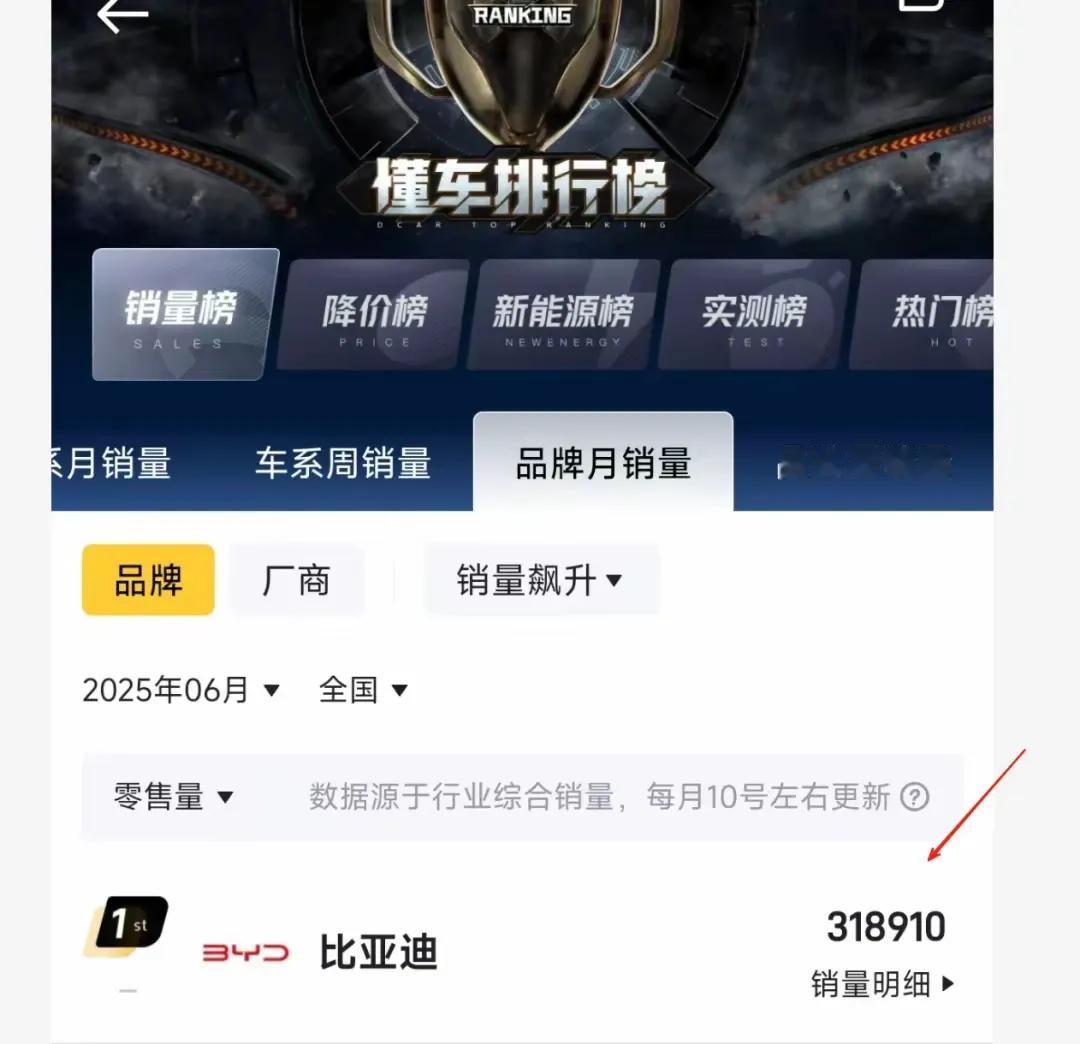 半年增长132%！万万没想到，国内卖疯的比亚迪，国外也这么给力
 
在国内汽车市