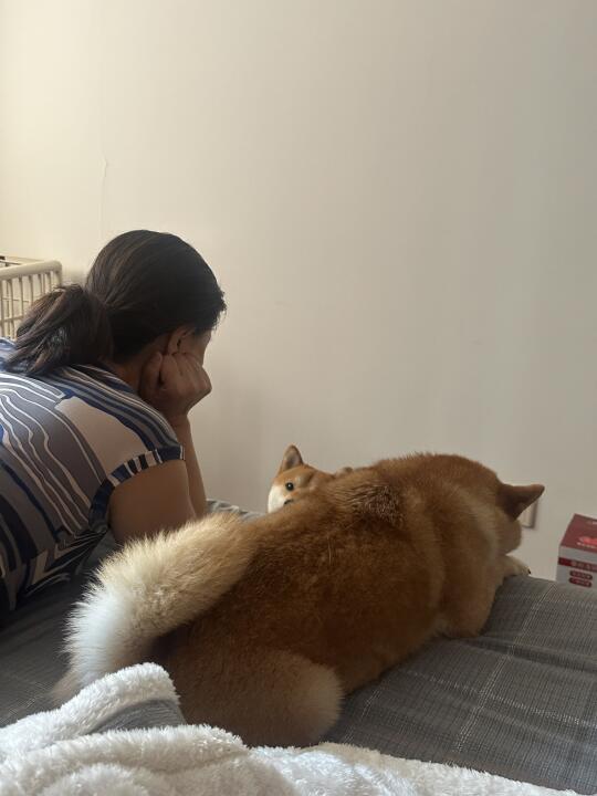 那位坚决不让我养小狗的老妈