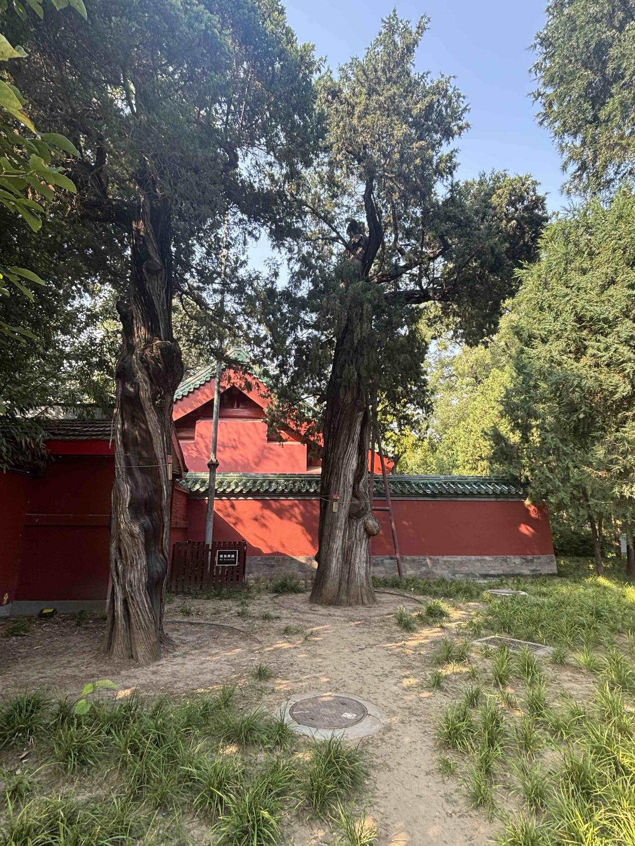 千年古寺随拍长假的第五天，来到燕山脚下的灵山寺‌，燕山余脉，有辽代古塔，有参天古