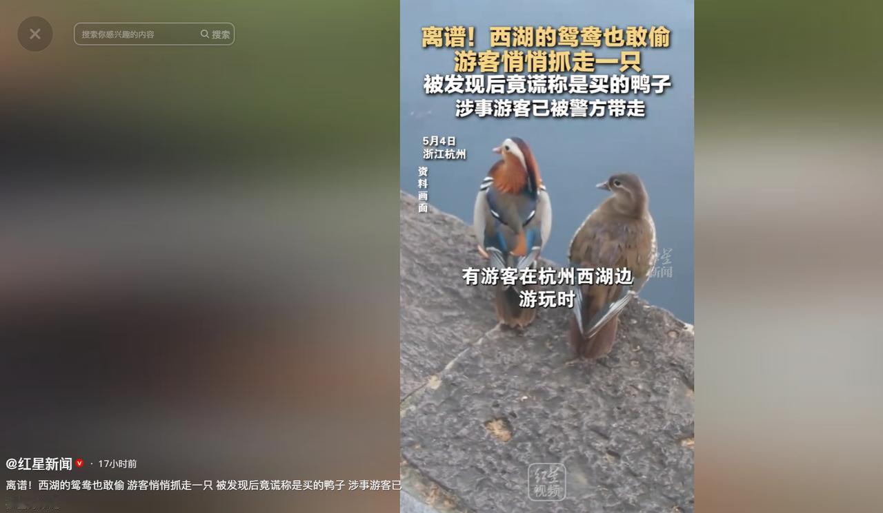 杭州西湖游客偷捕野生鸳鸯，谎称是自家购买鸭子，已被警方依法处置。

2026 年