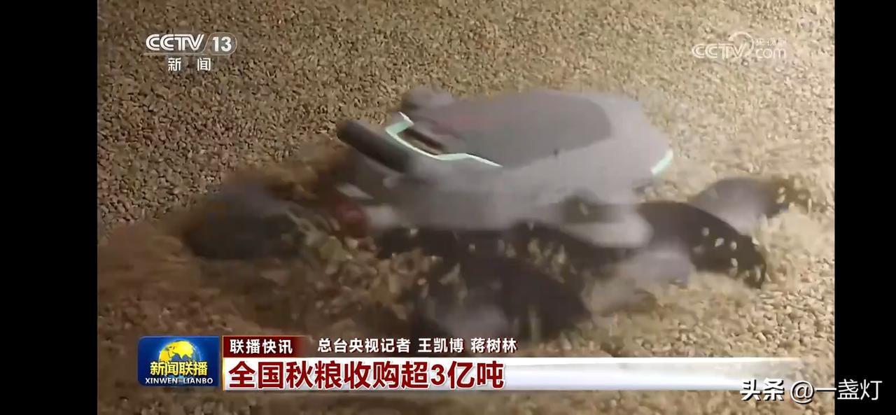 “丰收的喜悦！全国秋粮收购超3亿吨！”🌾💰
