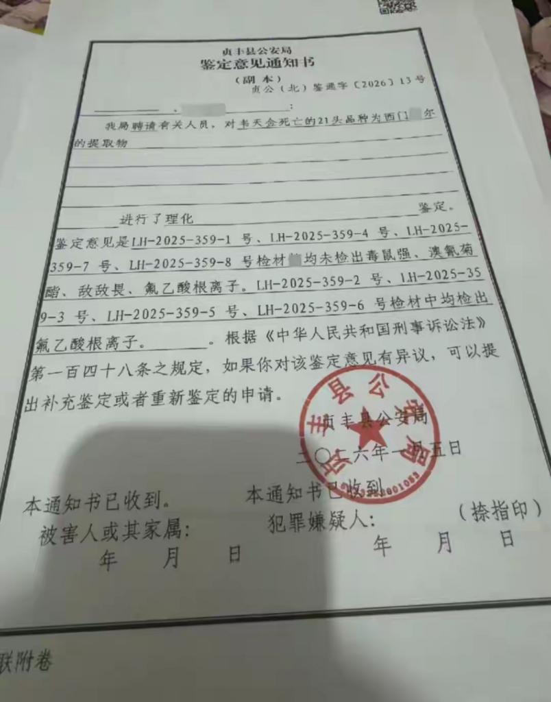 “干这种缺德事，不怕遭报应吗？”贵州，55岁男子借贷20万元，购入牛犊开展养殖。