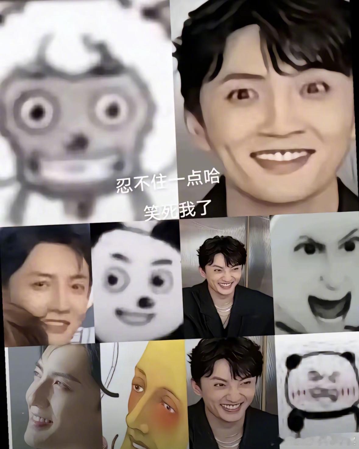 杨仕泽一款撞脸多个表情包的艺人[喵喵]是不是你啊毛蛋哥哈哈哈哈哈哈哈哈哈 