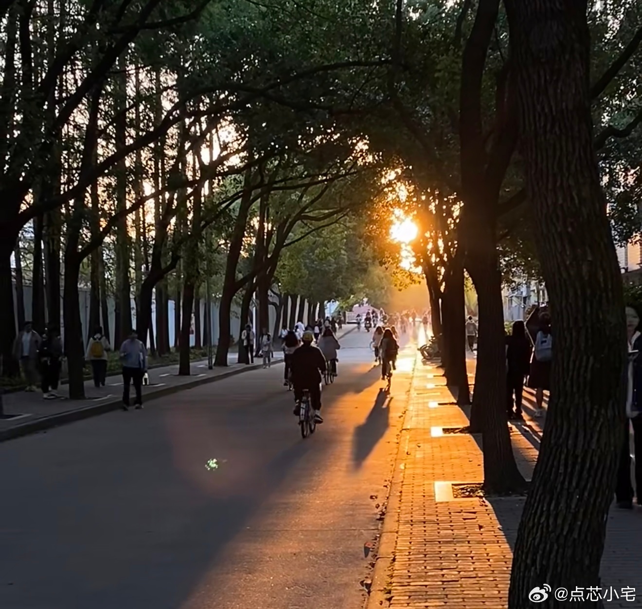 建议大学生尽早摆脱学生思维 学生思维其实就像总在等别人布置作业、划重点，没有自己