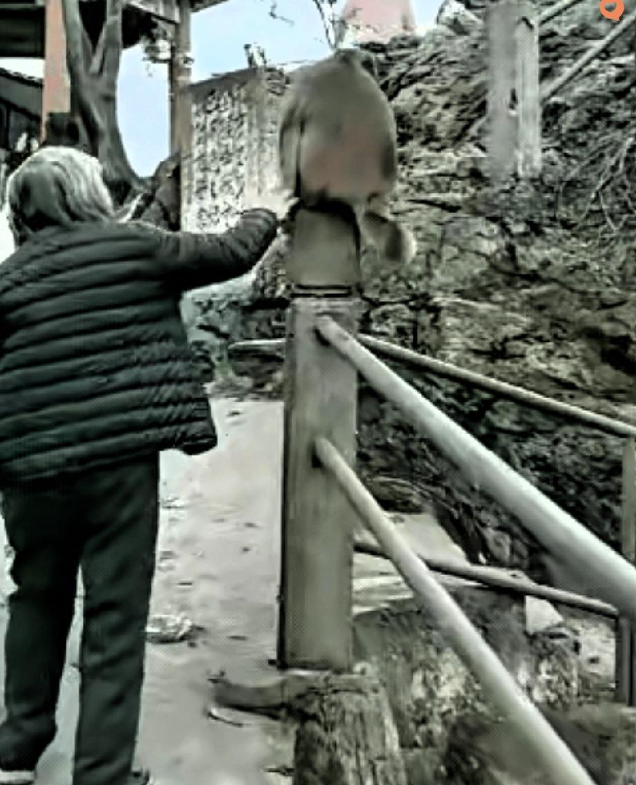 别拿年纪当任性的借口，这次真没人同情
 
年纪大从来不是随心所欲的理由，看完这件