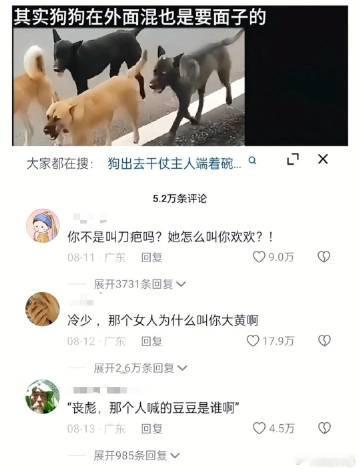 其实狗狗在外面混也是要面子的 ​​​