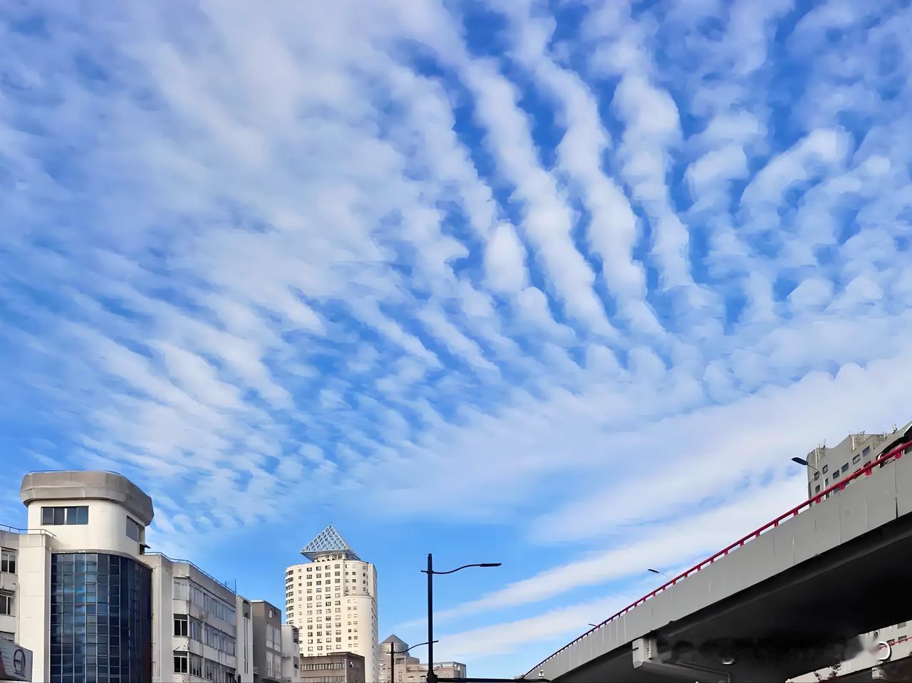 正常高积云，别和地震硬扯!
记住了：呈波纹、瓦块、鱼鳞状规则排列，透光可见。