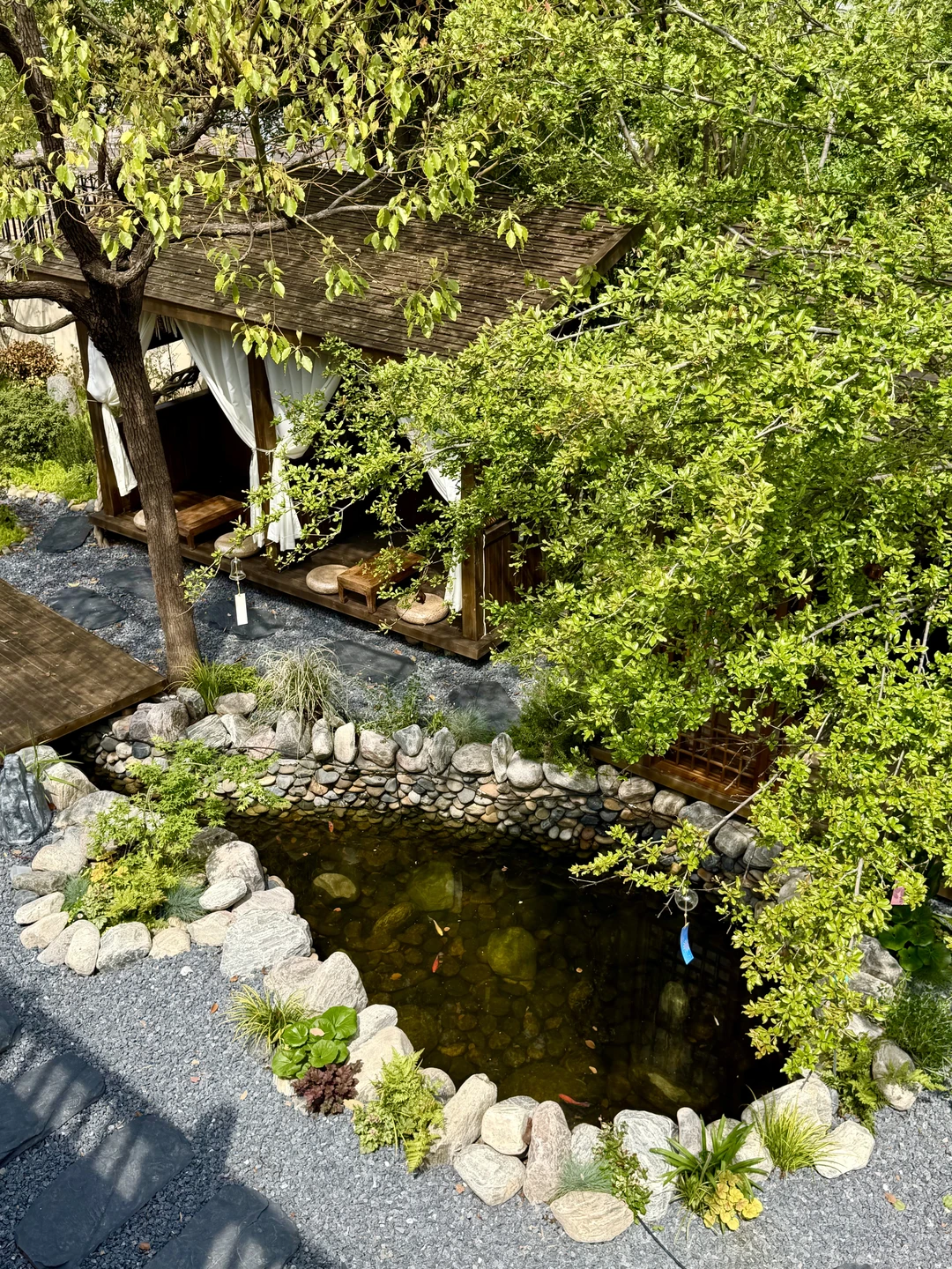 郑州刚开的！！！15r能呆一下午的茶馆！！！