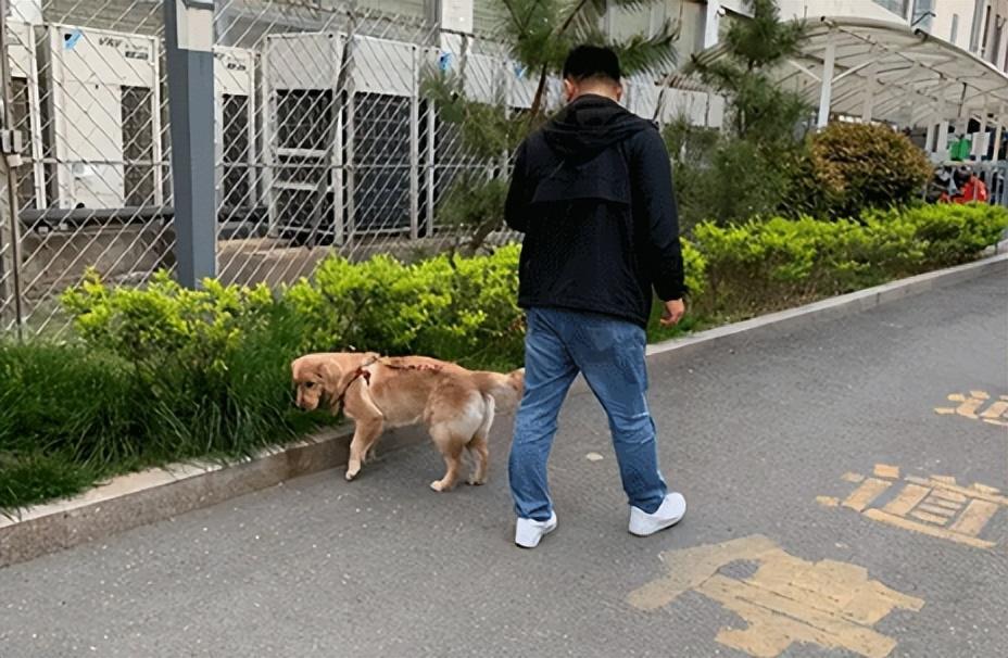 小区好不容易招聘了一名保洁，40多岁中年妇女，​小区招聘保洁好长时间了，终于有人