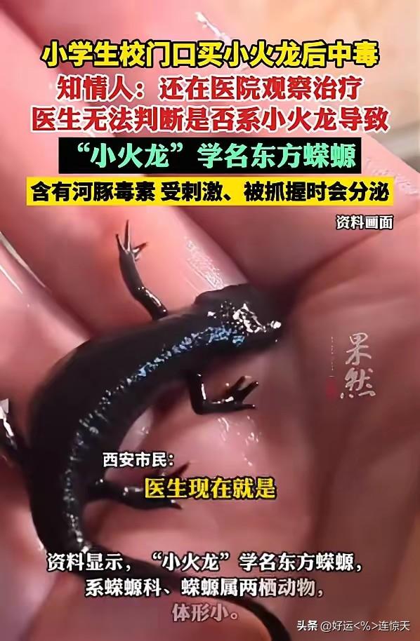 大家要注意了！
陕西西安，一名小学生放学时在校门口发现有人摆摊卖小火龙，觉得颜色