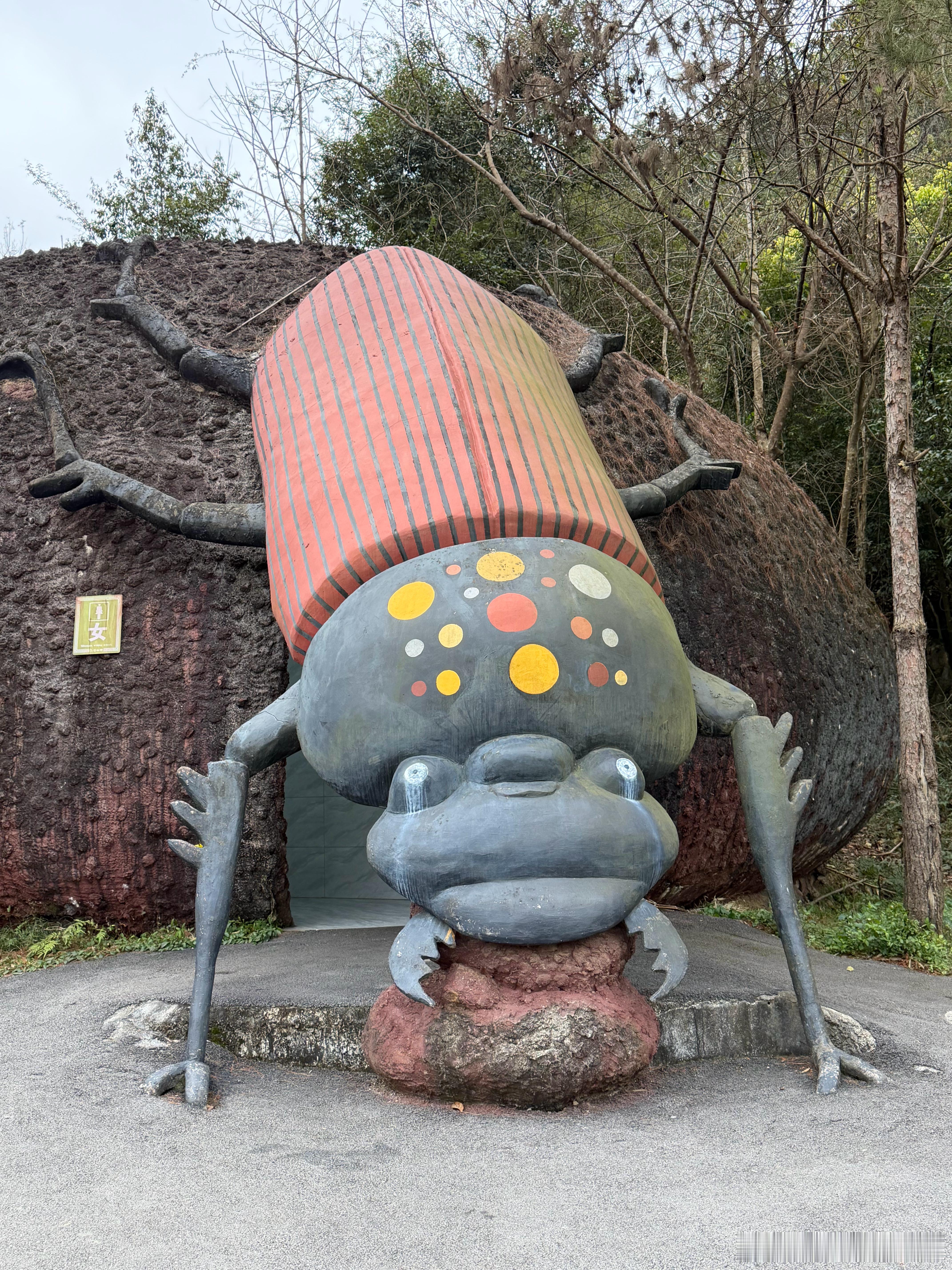 这厕所设计的挺……有想法的屎壳郎吃💩呢？