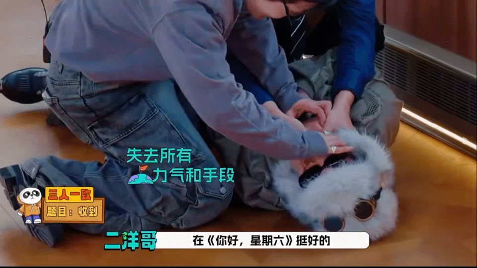 邵子恒把王鹤棣气得串台了谁还没被这段笑晕！邵子恒稳定发挥，王鹤棣当场串台想家，好