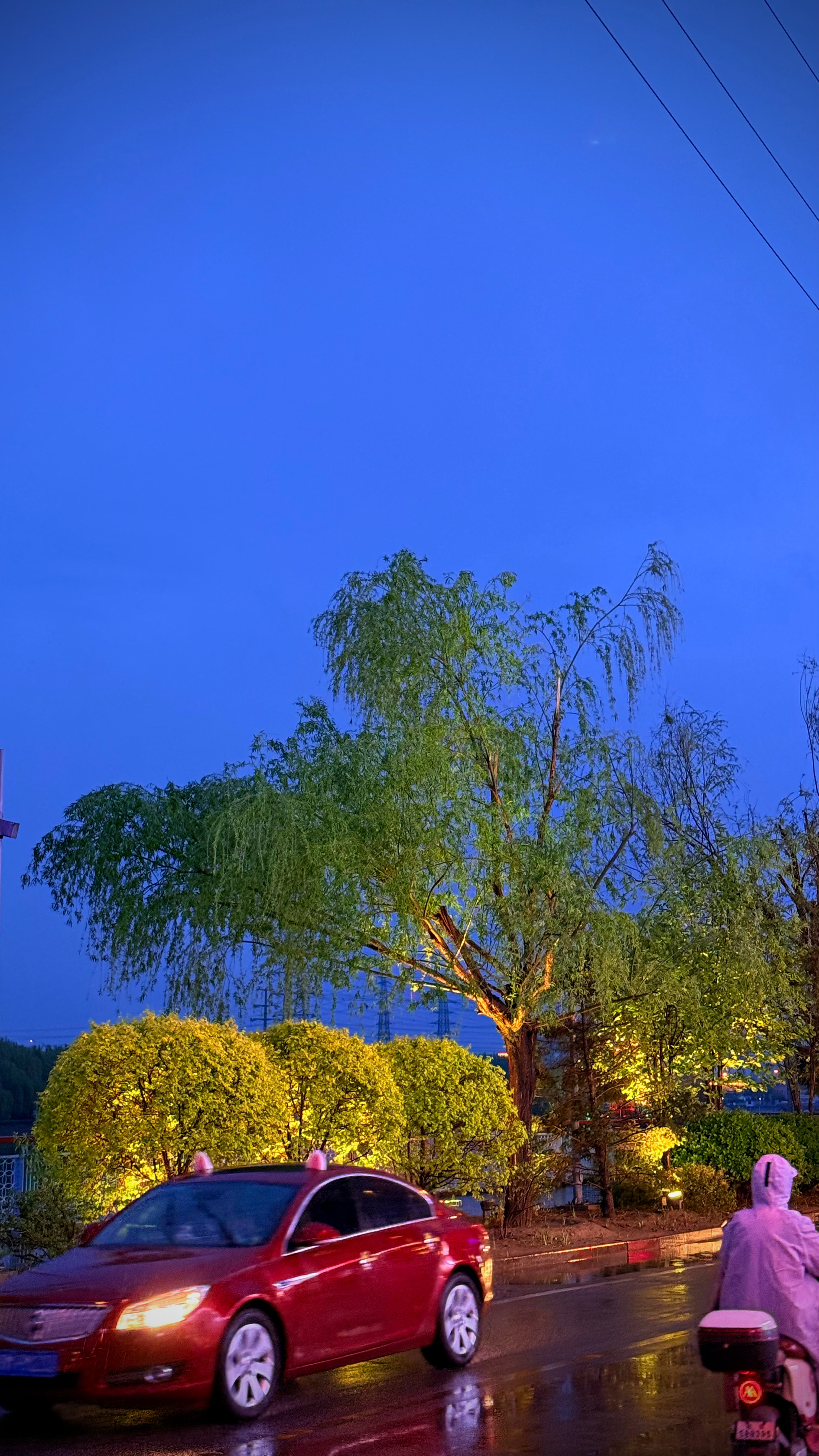 我能确定的是，我一定会走出困境。人生最初的十八年时光塑造了我，我不会背叛那一切。