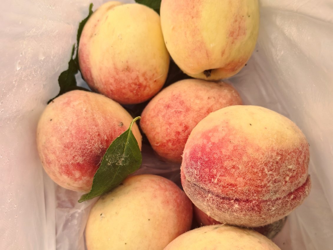 家里别的不多，就桃多，各种各样的桃子🍑 