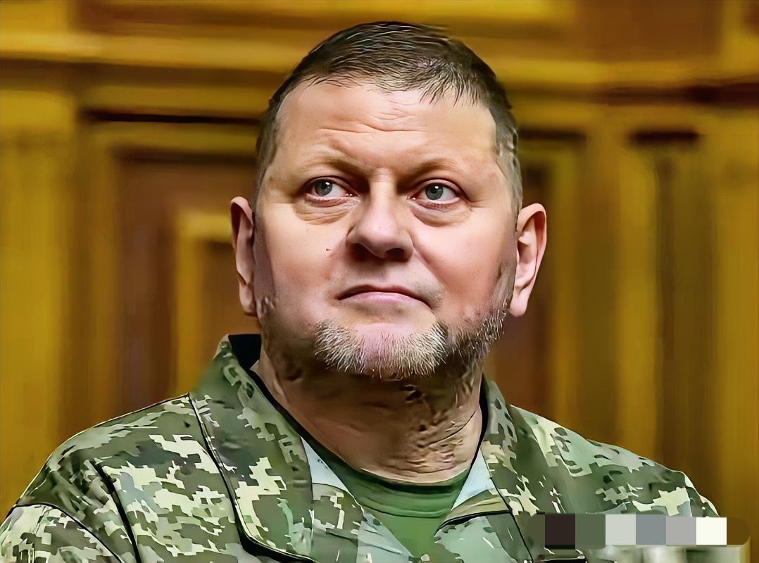 停火不是终点？扎卢日内预警内战风险，百万退伍士兵成乌克兰最大隐患？

仗打完了，