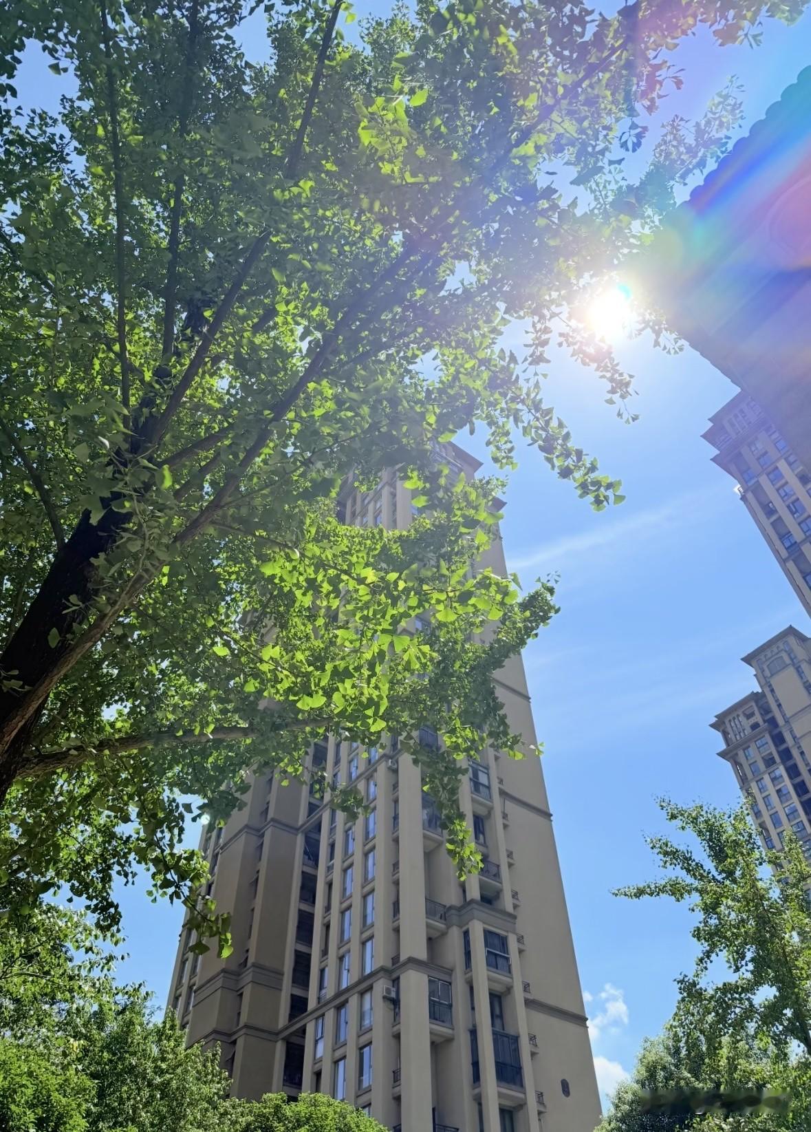 还有一个月就立冬了
浙江人民还在过夏天
一个月前买的秋装怕是穿不上了
到十月底，