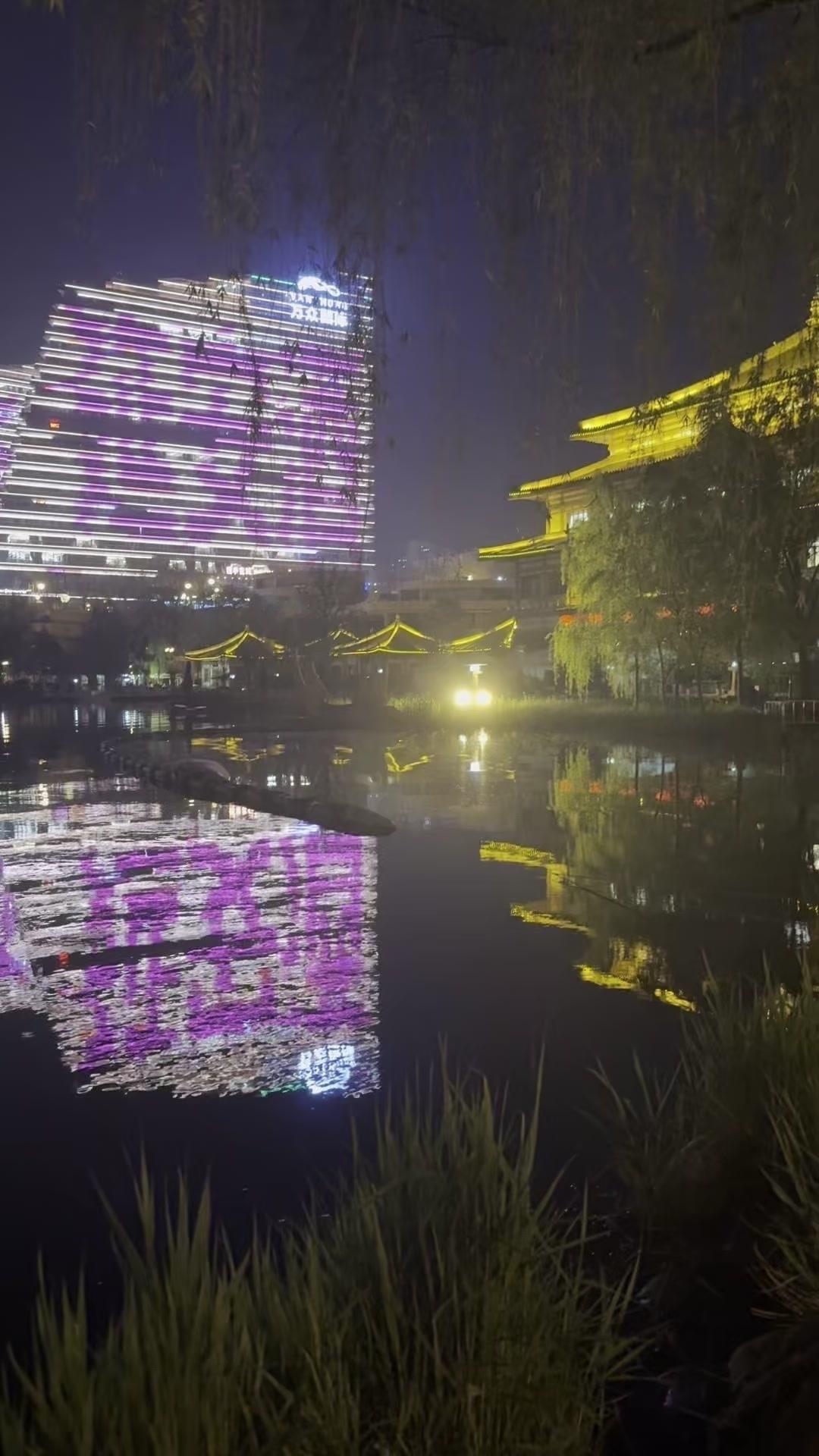 在西安旅游，曲江池绝对是我私藏的宝藏夜游地。夜晚的曲江池简直是被灯光点亮的星河，