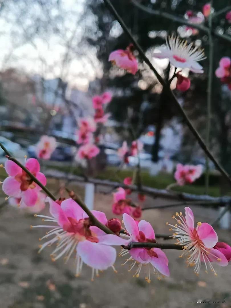 遇到想窥探老师隐私的学生！[捂脸]

昨天晚上，我们办公室几个人都有晚自习。下了