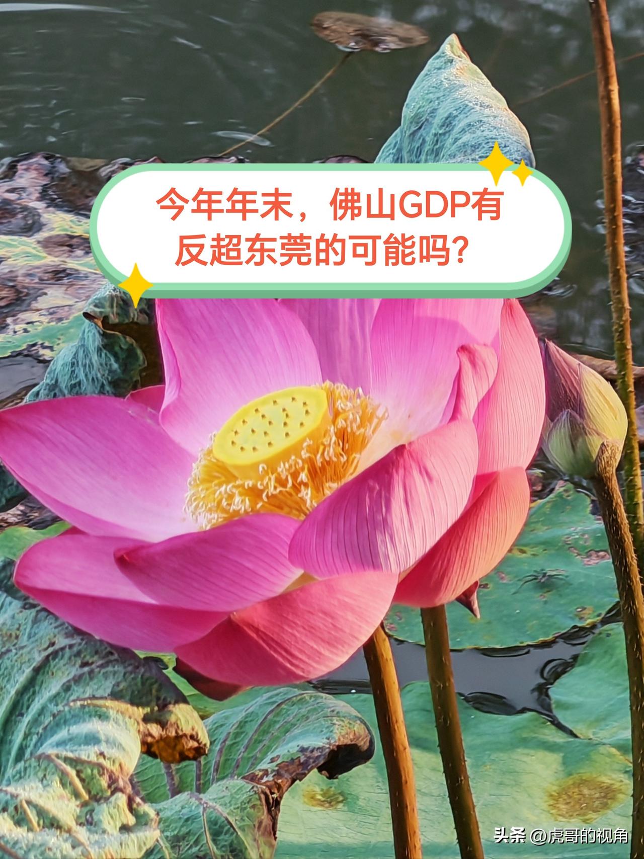 东莞能否坐稳广东经济第三的位置，亦或是佛山能否重回老三宝座？近年来，佛山经济遭遇