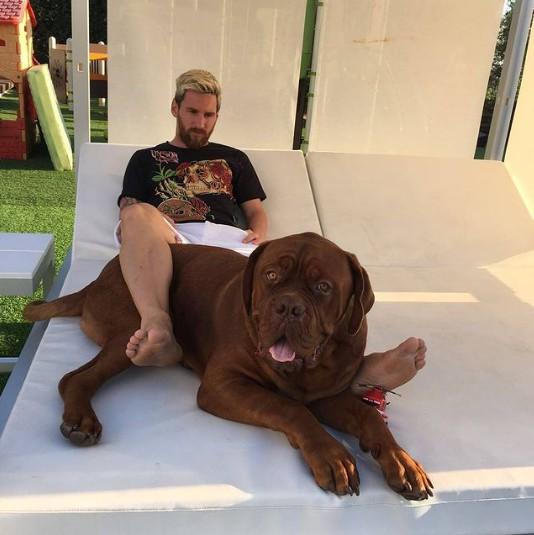 足球巨星梅西（Lionel Messi）举家搬到美国迈阿密，却不见爱犬浩克（Hu