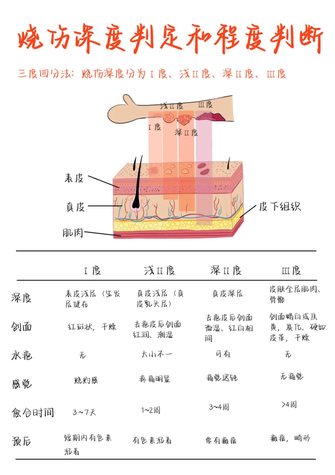 医学生笔记——烧伤深度判定和程度判断