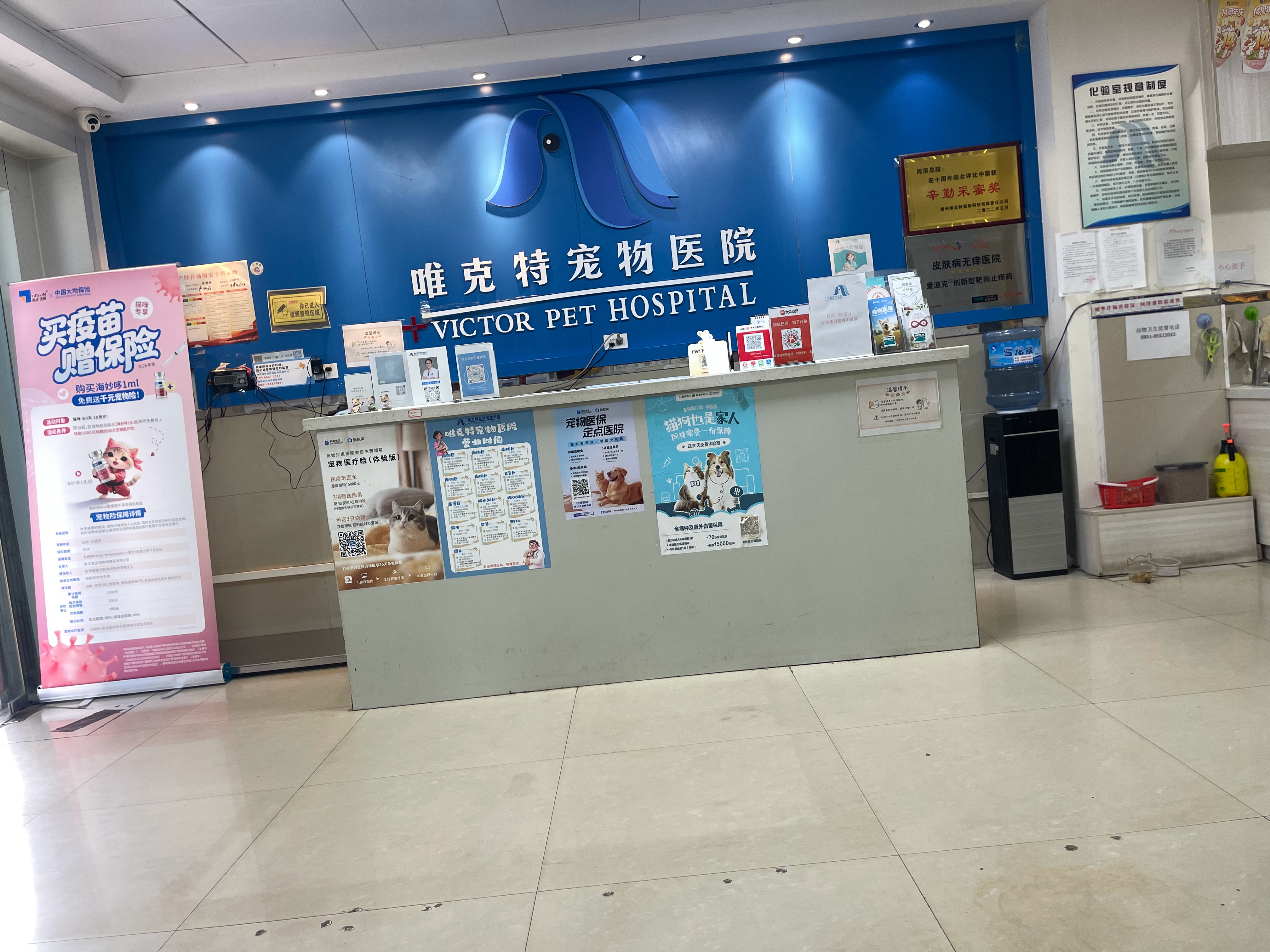 都进城了，顺便看个病吧 猜小猫拔牙多少钱 