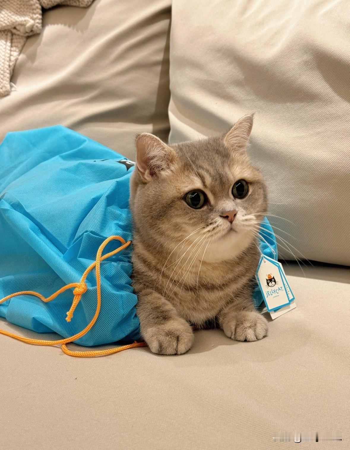 分享我这周有趣的事：你有什么烦恼，说出来让我开心一下吧