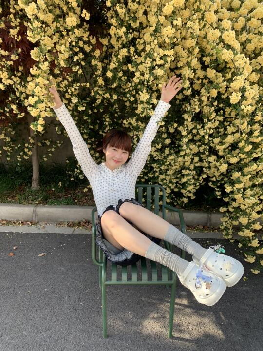 故事的小黄花🌼