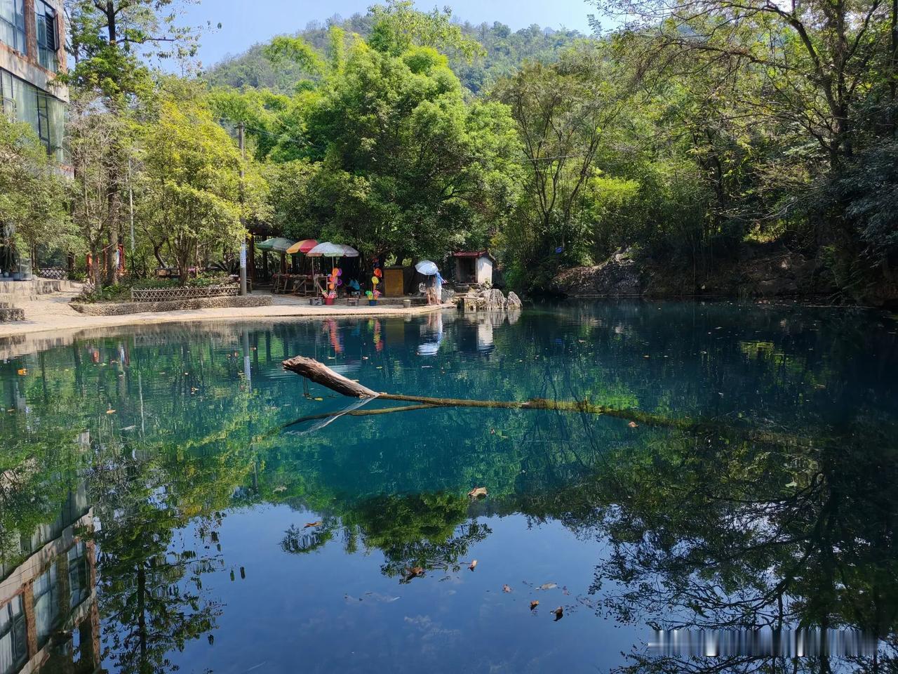 
桂林小九寨
景点很实在
不用买门票
不要把队排
风景很优美
龙井河水清
水草特