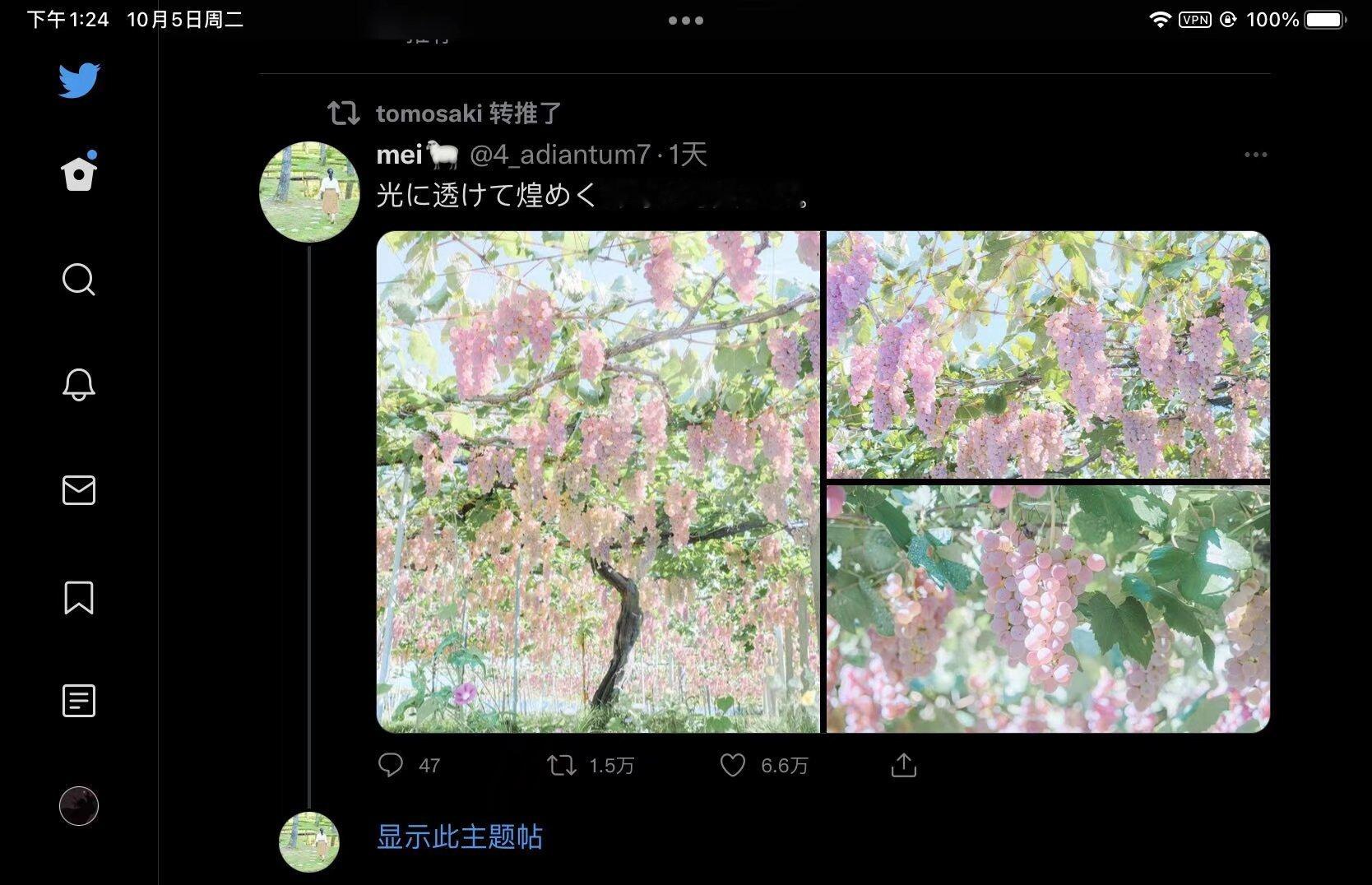9679在阳光下发光的葡萄很可爱twi：4_adiantum7 