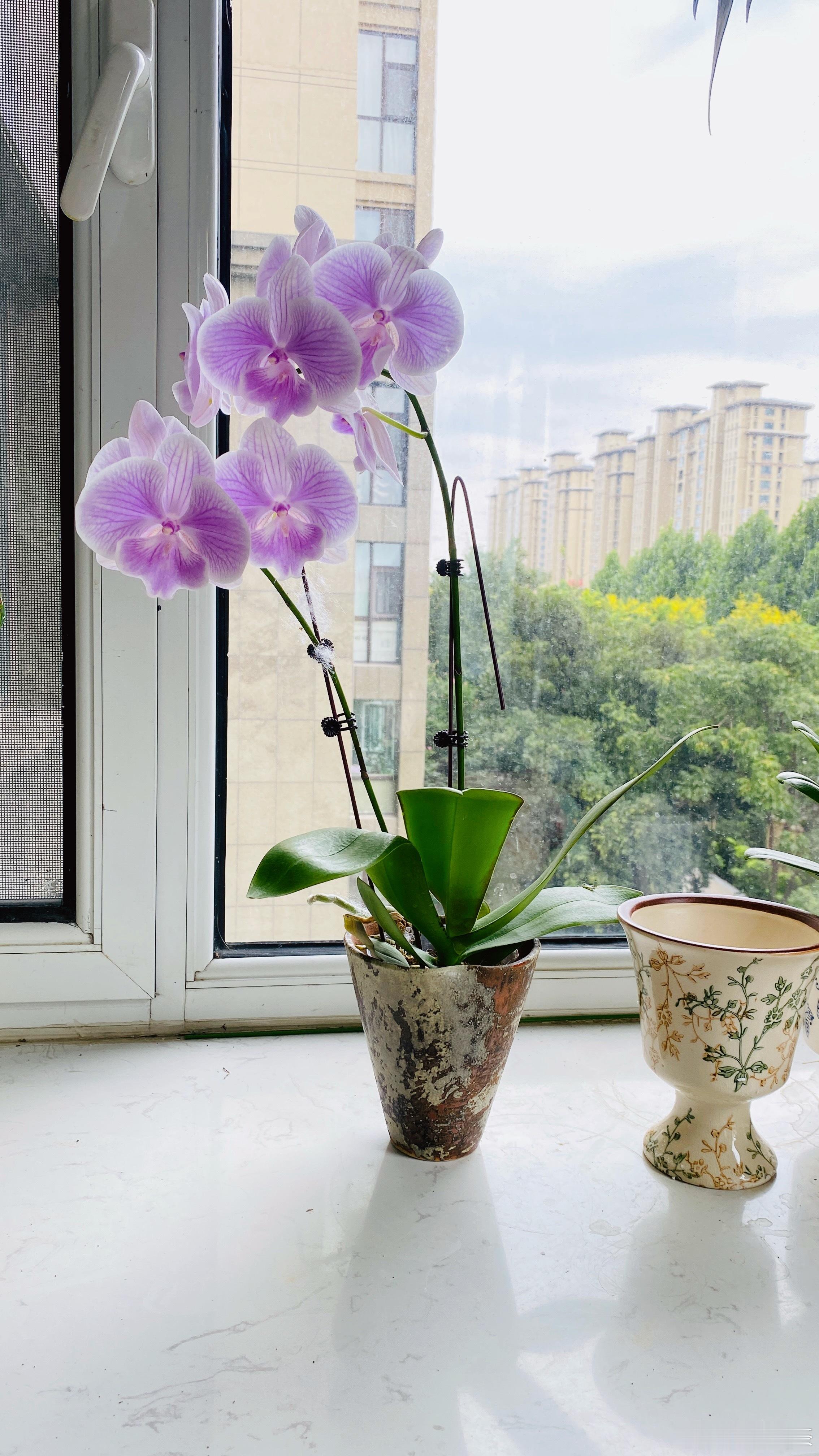 20块钱的快乐，要啥自行车 ​​​
