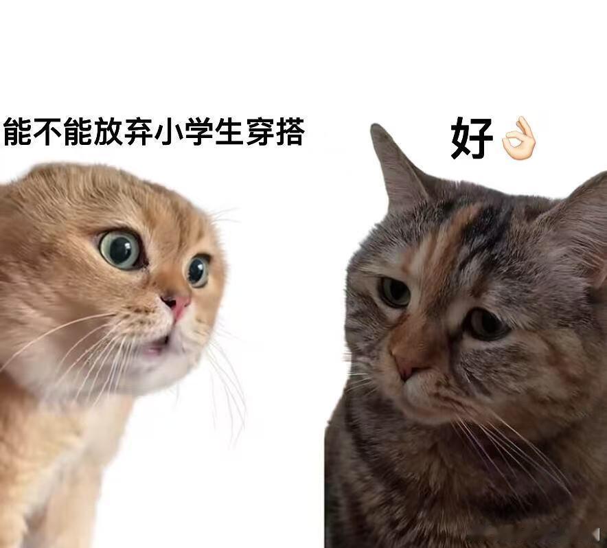 如何花350穿出总监感 终于明白了我们的时代跟你们不一样的含金量了！谁能想到AI