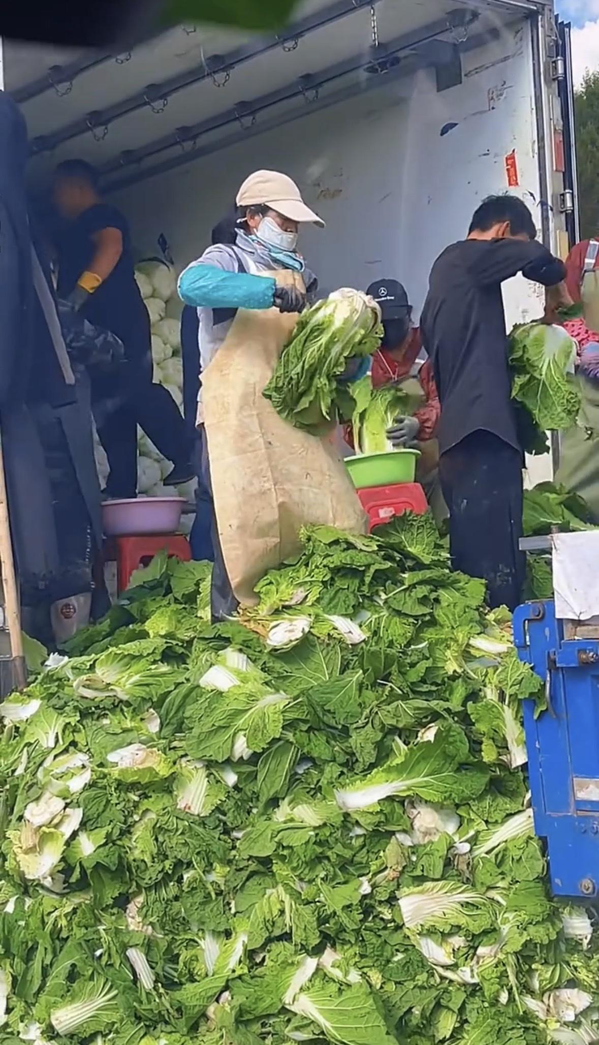根本没用，前阶段曝光大白菜蘸甲醛致使菜农白菜卖不出，依旧不改该蘸还是蘸。

菜贩