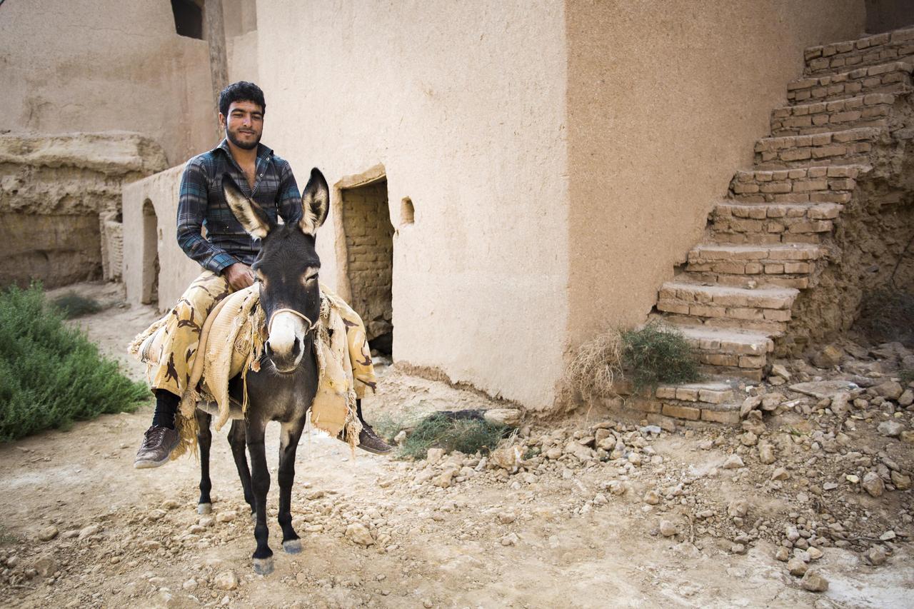 霍尔木兹海峡，又关了！怎么一会儿开、一会儿关？
这一湾海峡，已是美国、伊朗大博弈