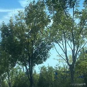 蓝蓝的天空，漂浮着浮云 ​​​