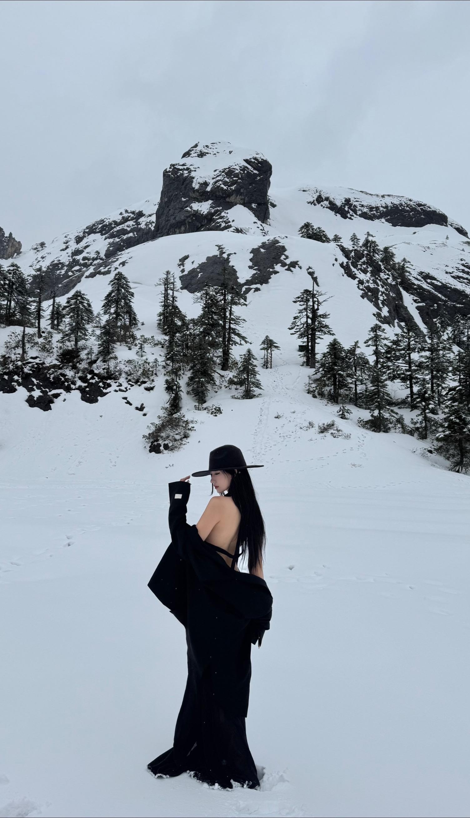 雪山中的黑天鹅