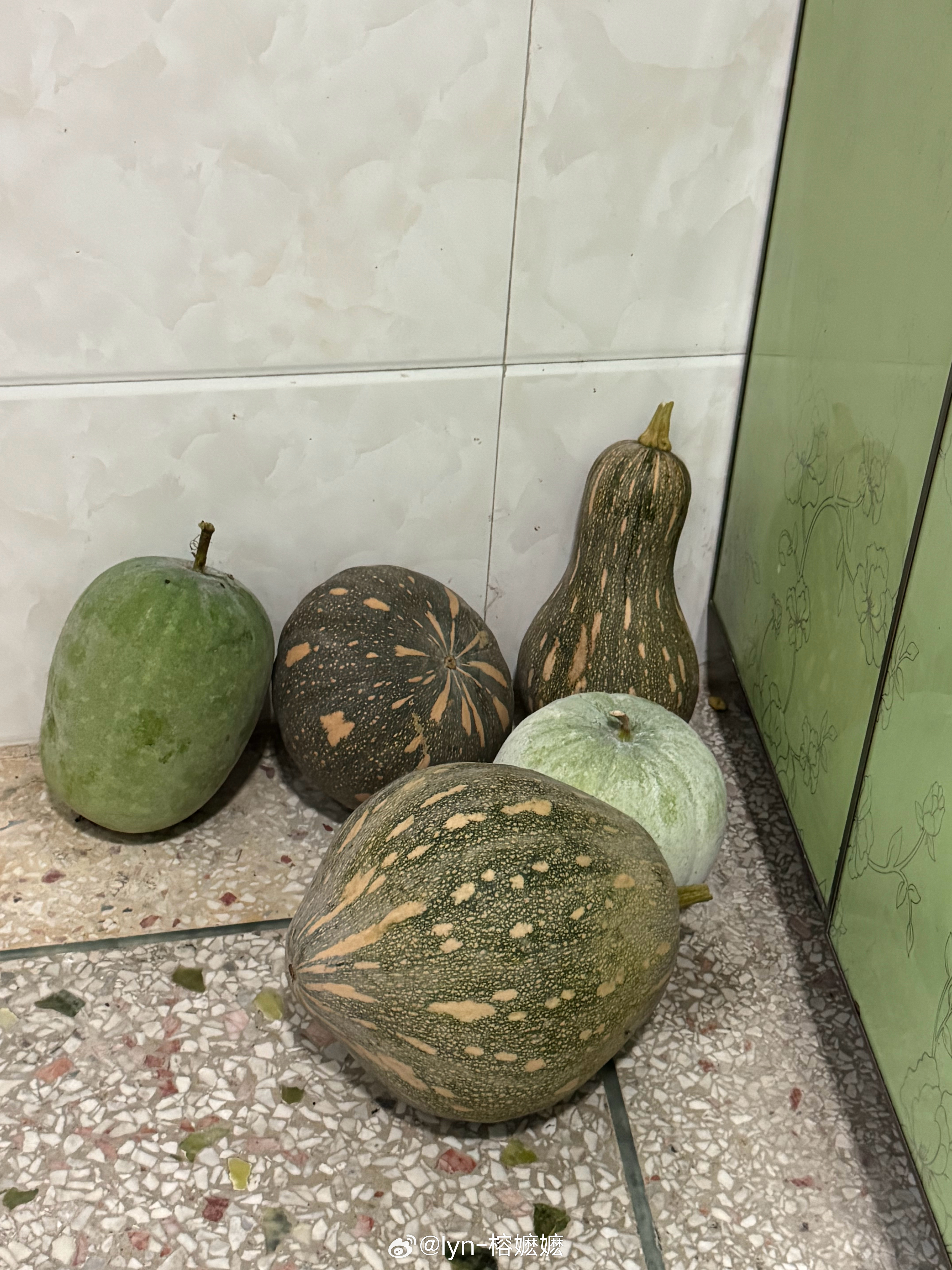 各种瓜