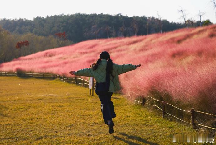 田曦薇静图拍出动图的效果，真的是好漂亮的呀，完全就是一张灵气的脸蛋出现在我的面前