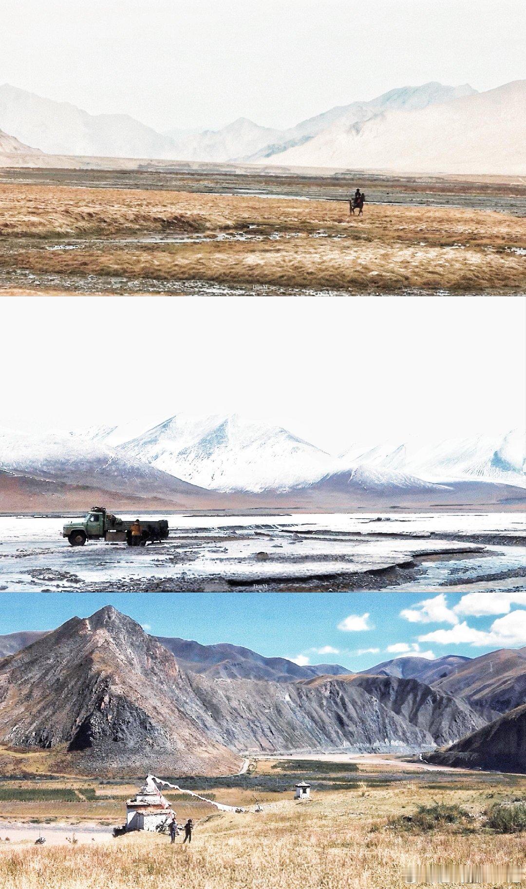 好久没见过这么震撼的实景拍摄了《生命树》实景拍摄直接封神！扎根青海无人区188天