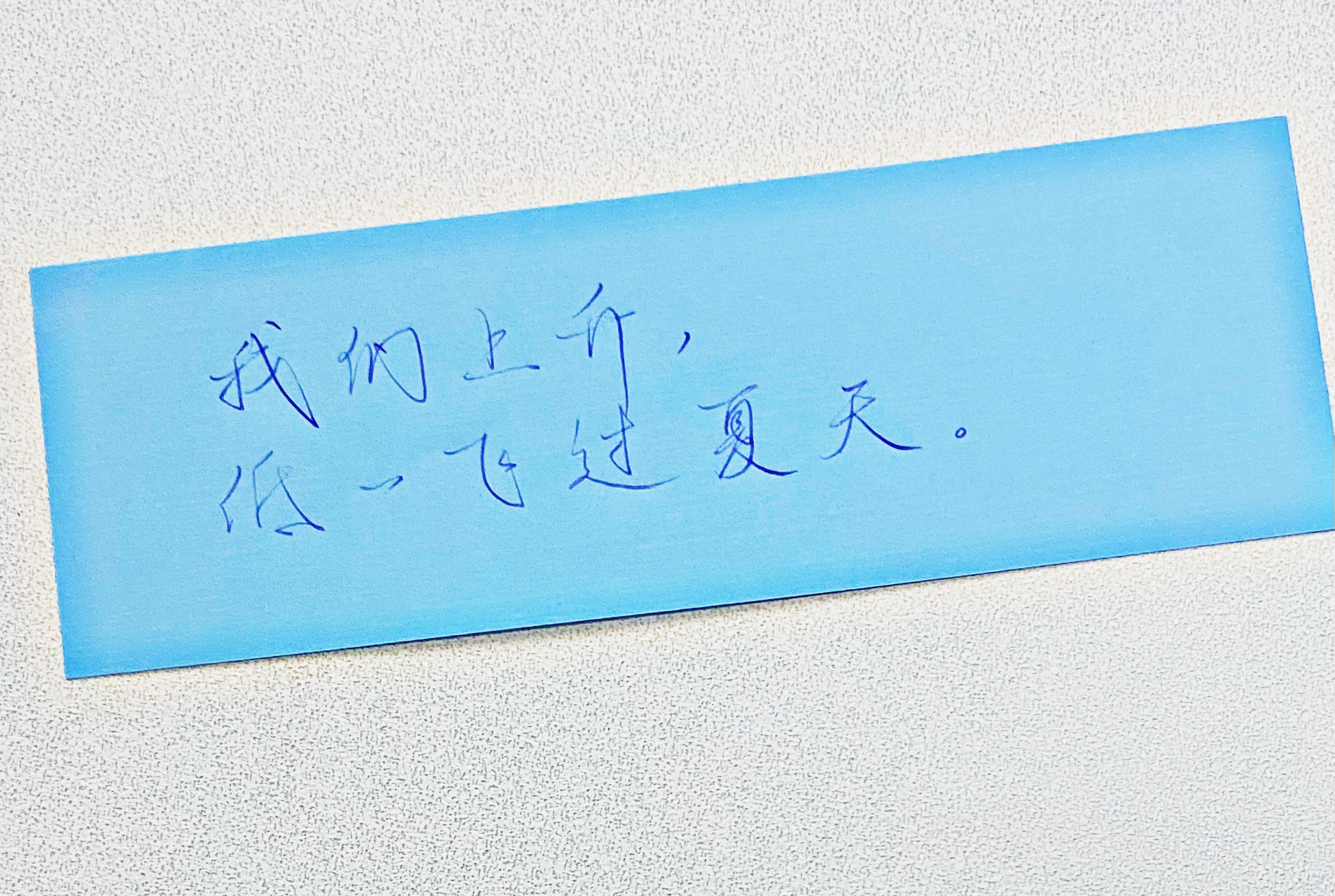 练字  低低的飞过夏天 