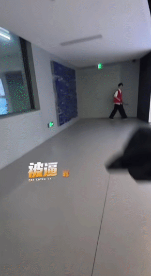 当我以为自己藏的天衣无缝童年躲猫猫进化成人局，各种 buff 叠满，追逐名场面超