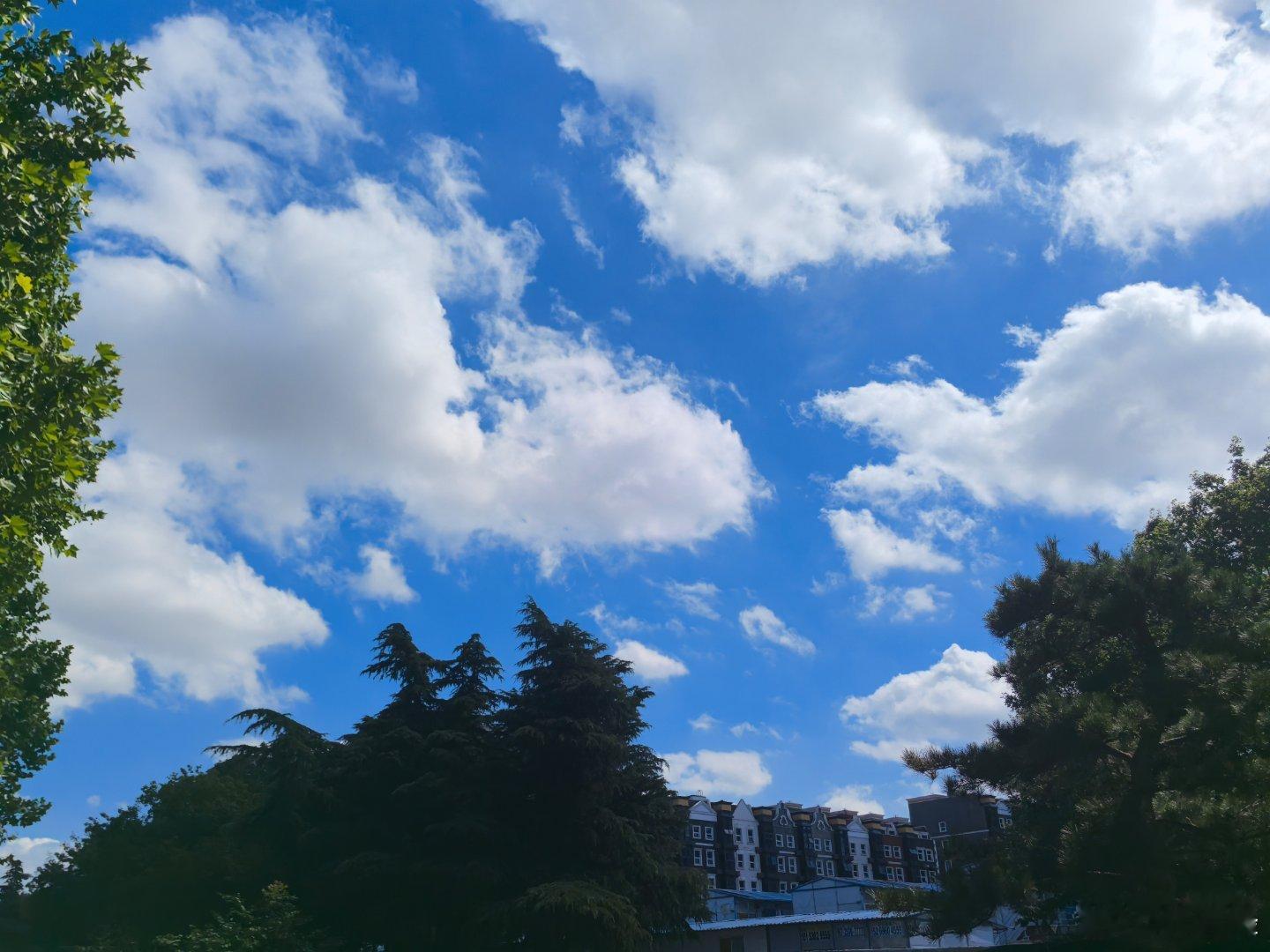 今天青岛秋高气爽