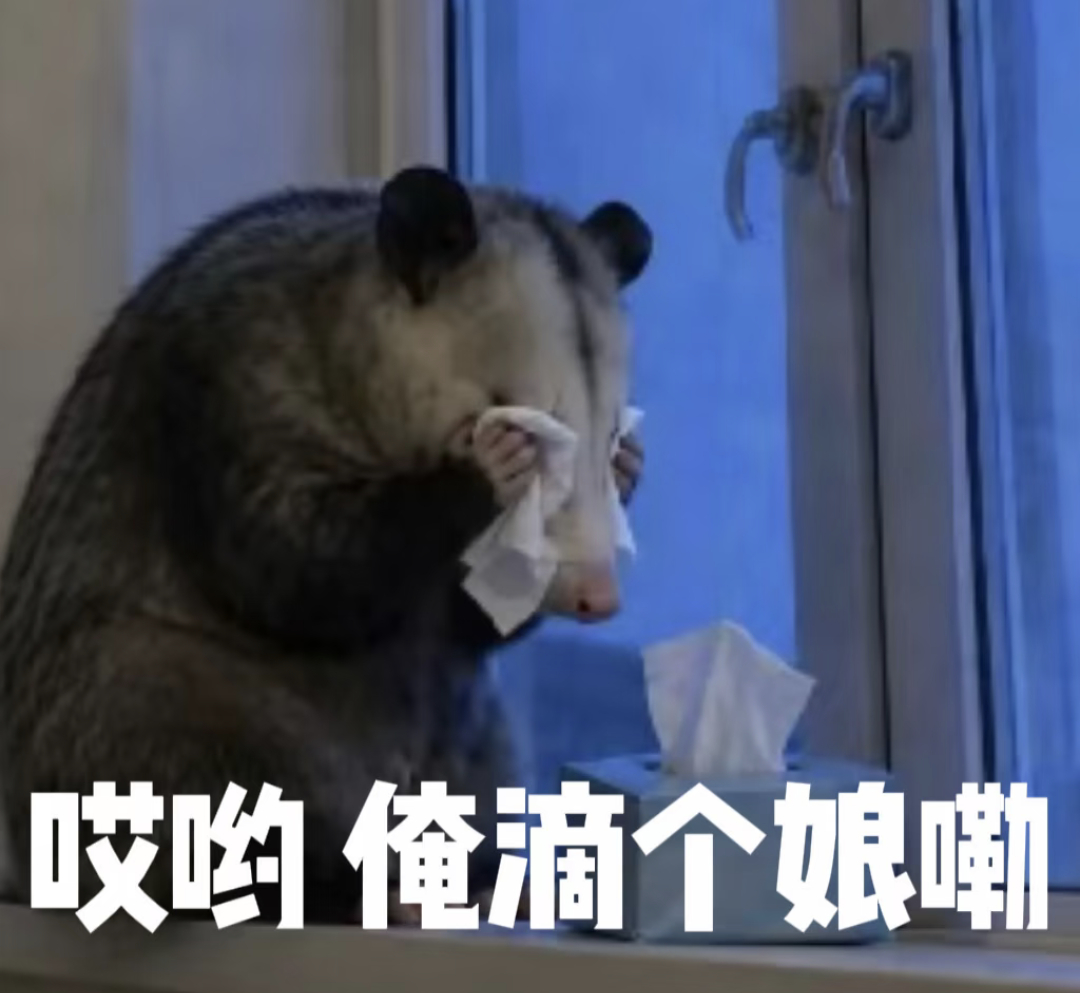 你以为送我会员我就不充了吗？超话一断签我就为了补签卡充会员