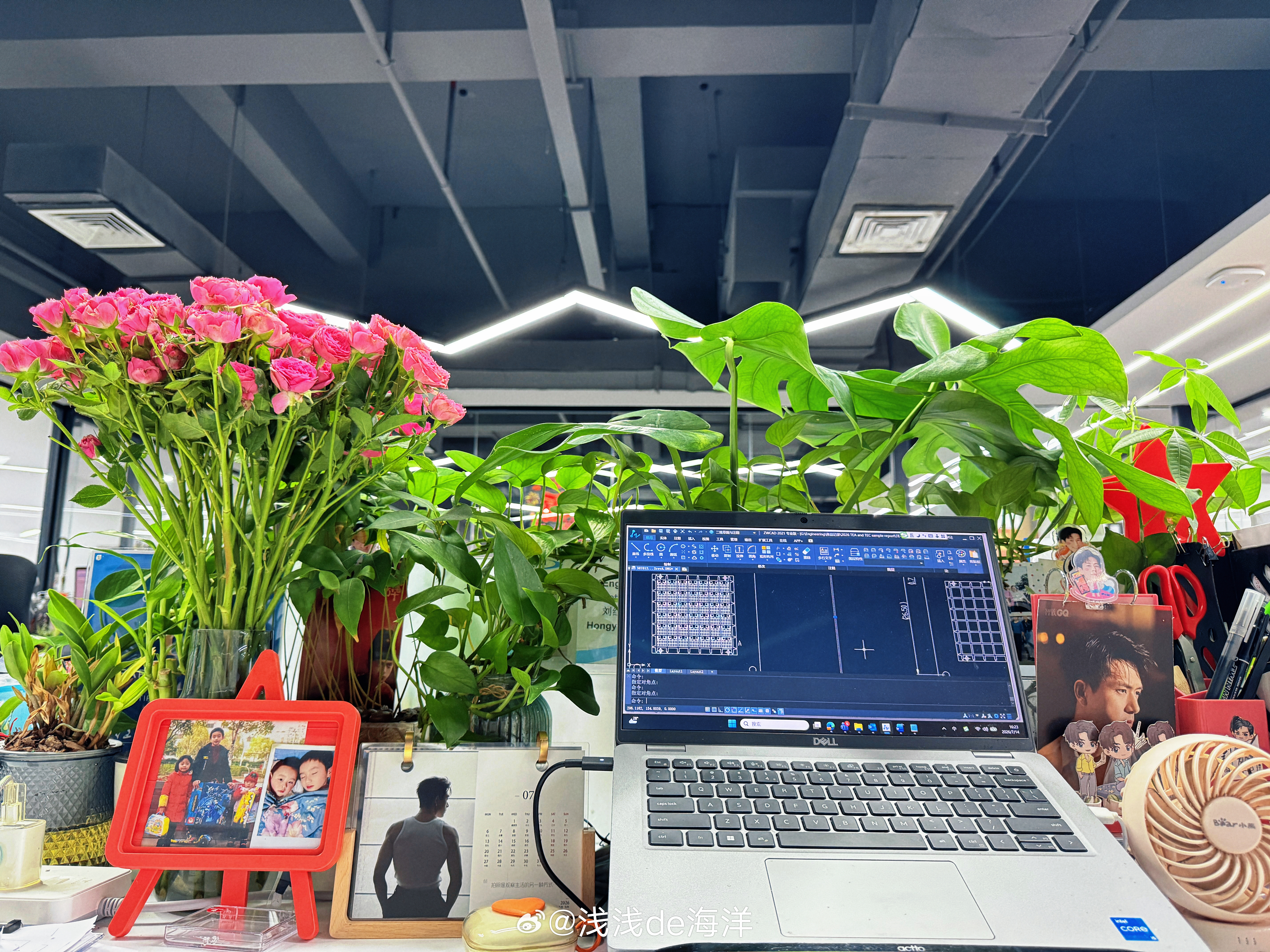 今天上班整个人都是恍惚的，从周五到今天，每天一两点睡，早上五点过就醒了，我真的是